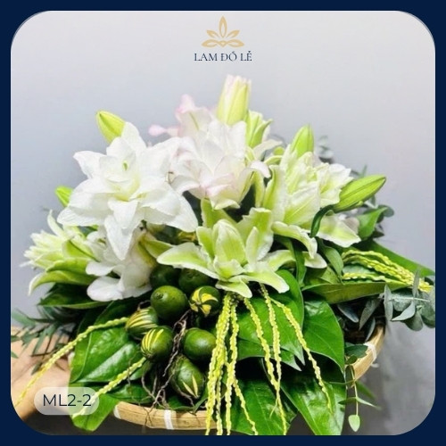 met-hoa-trau-size-25cm-ml2-2