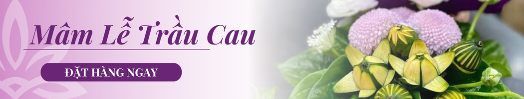 dat-hang-ngay-mam-le-trau-cau-lam-do-le